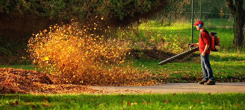 Worker walking through a park blowing leaves off of the sidewalk.