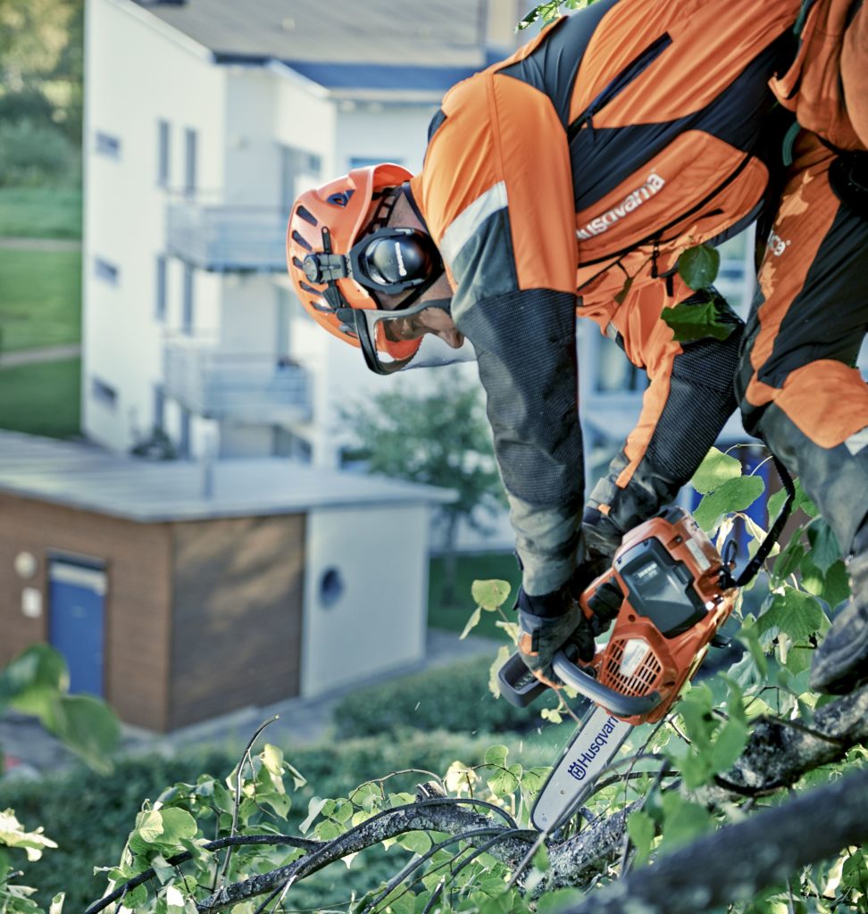Professional arborist using a top handle chainsaw