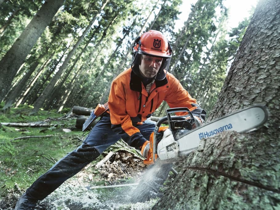Always wear PPE while cutting with a chainsaw