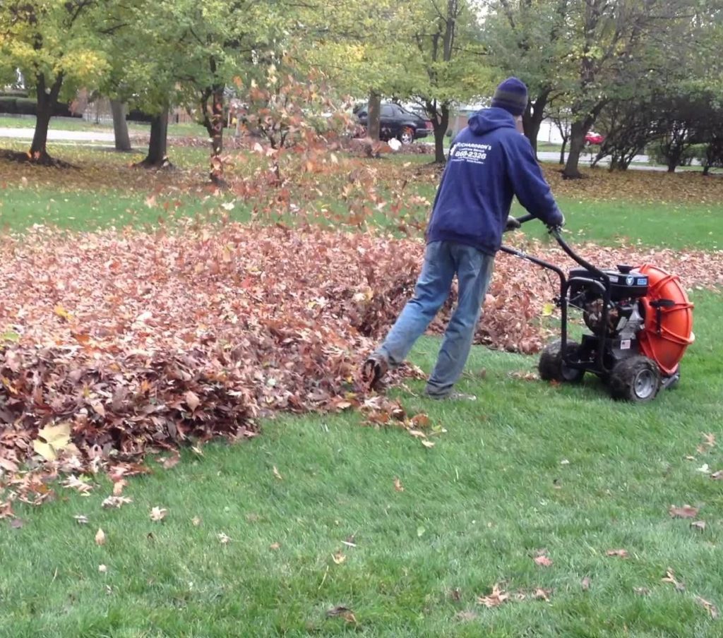 The Ultimate Leaf Blower Buying Guide | Acme Tools