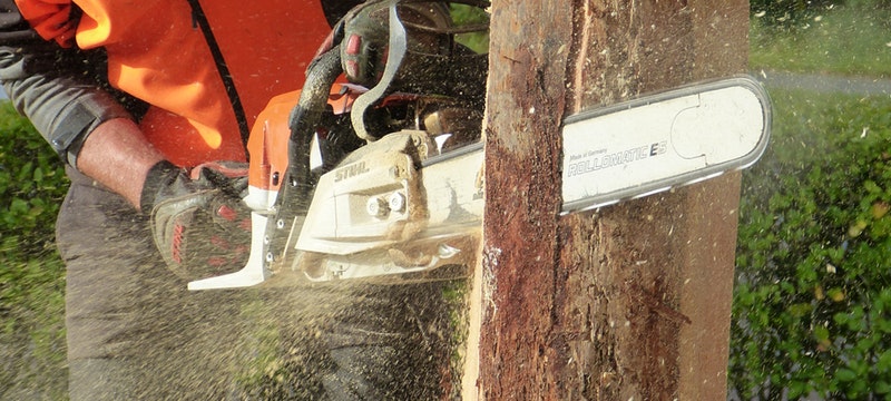 gas chainsaw ripping through a log