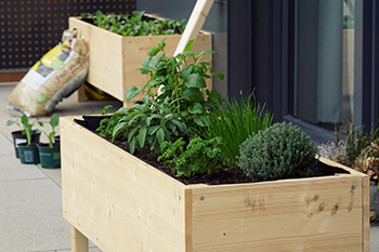 A raised garden bed is a great way to give your garden a classier look.