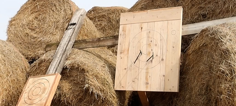 Hatchets sit in a finished axe throwing target.