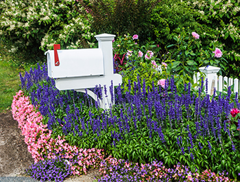 Flowers surround a mailbox in a front yard.