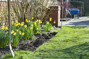 An edging project sit in progress with a string level across the ground.