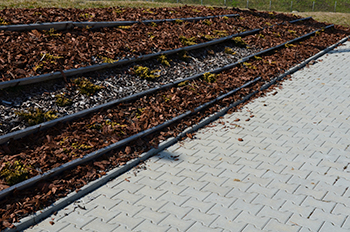 Timber is used to separate sections of a flower bed.