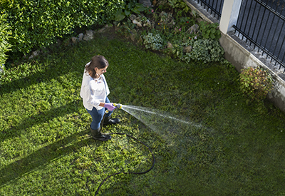 A woman waters her grass in the early morning.