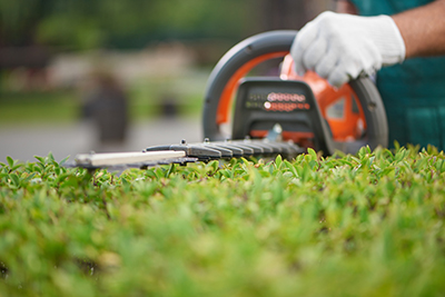 A hedge trimmer is used to cut branches of a bush.