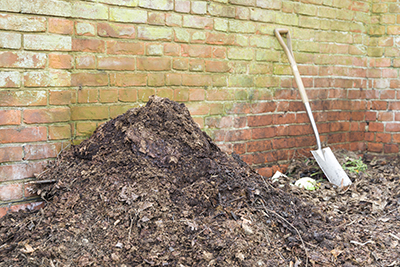 Mulched leaves being spread on a garden.