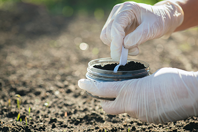 A soil sample is taken from a garden.