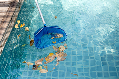 A skimmer net is used to remove leaves floating on the surface of a swimming pool.