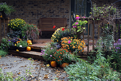 Entryway garden in the fall on a dark, rainy day.