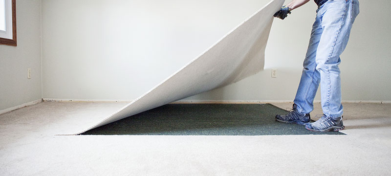 Person pulling up carpet