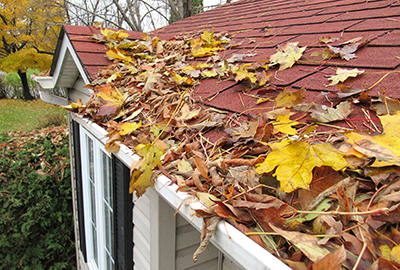  a rooftop with gutters, badly in need of cleaning.