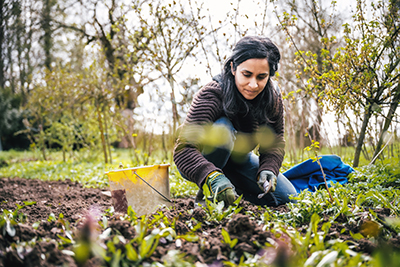 woman crouching in garden for weeding wild plants in vegetable bed
