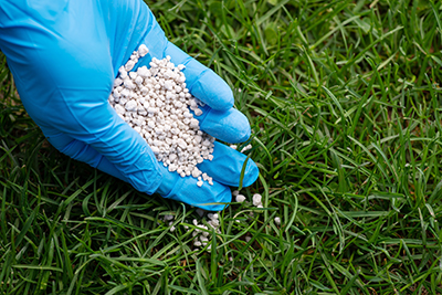 Fertilizer is hand spread across a lawn.