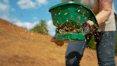 A hand spreader is used to spread grass seed.