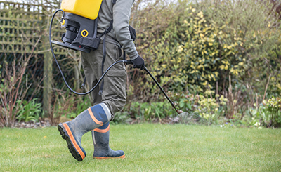 Liquid fertilizer is sprayed on a lawn.