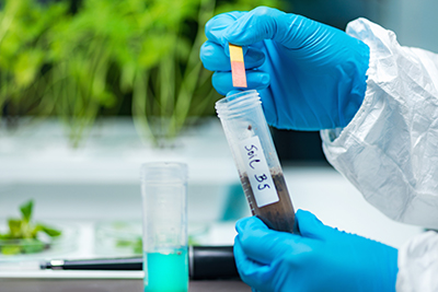 The pH level of soil is tested in a lab.