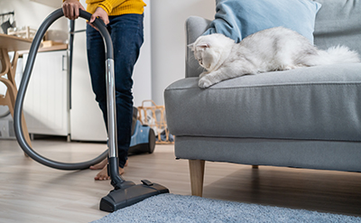 A cat looks on while a woman cleans the floor with a canister vacuum.