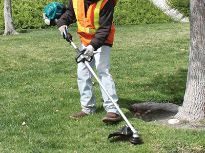 A Makita gas string trimmer cuts around a tree.