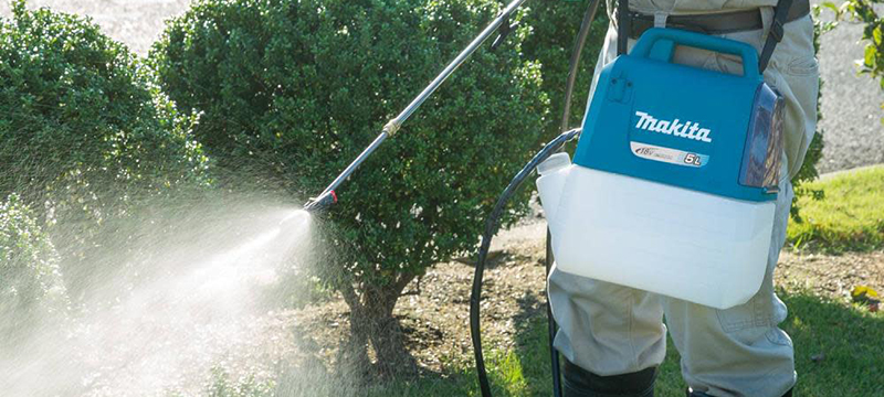 A Makita 18V LXT Sprayer is used to apply fertilizer to bushes.