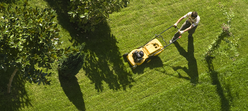 Electric vs Gas Powered Lawn Mower Comparison Guide