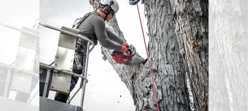 Lineman using a chainsaw