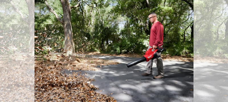 Man cleaning up leaves with a blower