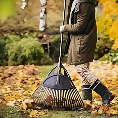 Woman raking leaves